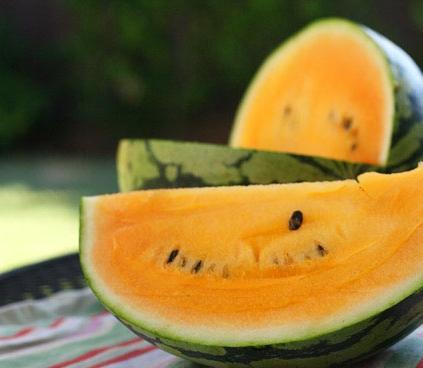 Wassermelone - wächst im Ural ist möglich!