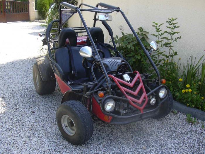 Minibuggy mit deinen eigenen Händen