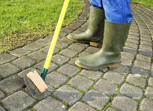 Wie wird ein professioneller Gärtner das Moos im Gartengrund loswerden?