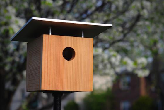 Die Größe des Vogelhauses. Wie man ein Vogelhaus mit eigenen Händen macht