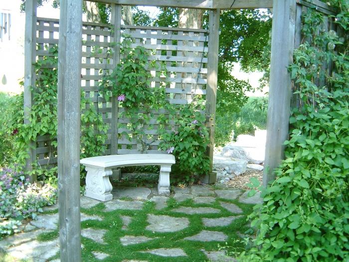 Bau einer Pergola: Vegetation