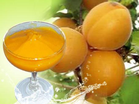 Aprikosen: Kalorien und nützliche Eigenschaften