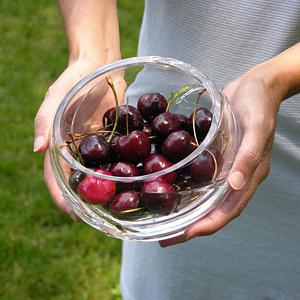 Cherry: Vorteile und Nachteile der einladenden Berry