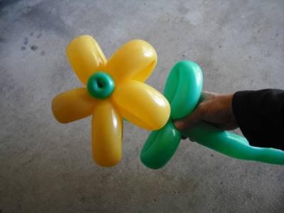 Blume der Bälle: Wir schaffen Schönheit mit unseren eigenen Händen