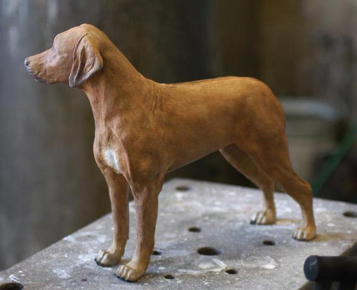 Wie lässt sich ein Plastilin schnell und einfach von einem Hund formen?