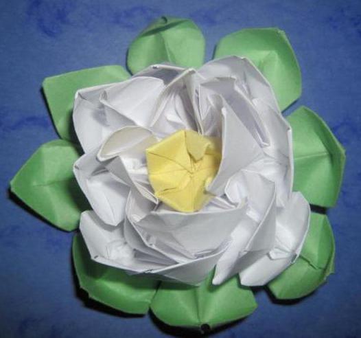 Origami Seerose