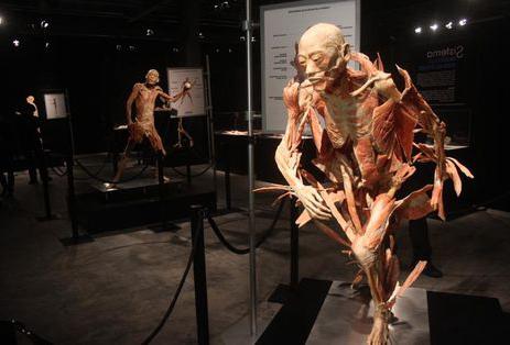 die größte anatomische Ausstellung