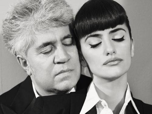 Filme pedro almodovar zurückkehren 