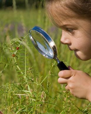 Natur zu schützen bedeutet, das Leben zu retten