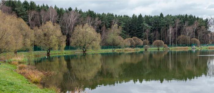 Meshchersky Teich Bakovy Forest Park