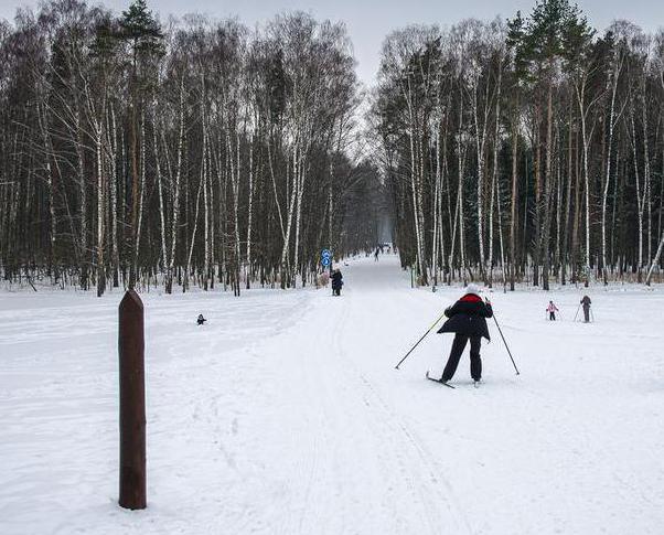 Was ist interessant für den Bakov Forest Park für Touristen?