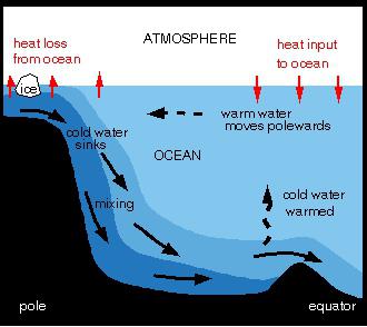 Wasserzirkulation im Ozean