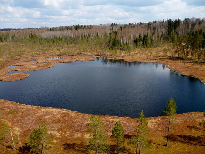 National Valdai Park: Beschreibung