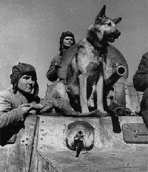 Siegesparade am 24. Juni 1945