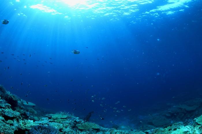 Wie viele Ozeane auf der Erde: Streitigkeiten über die genaue Anzahl
