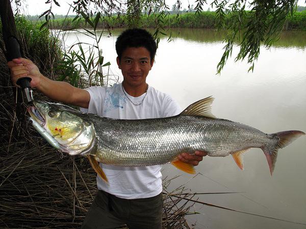 Verhoglyad (Fisch): Beschreibung, Fangmethoden