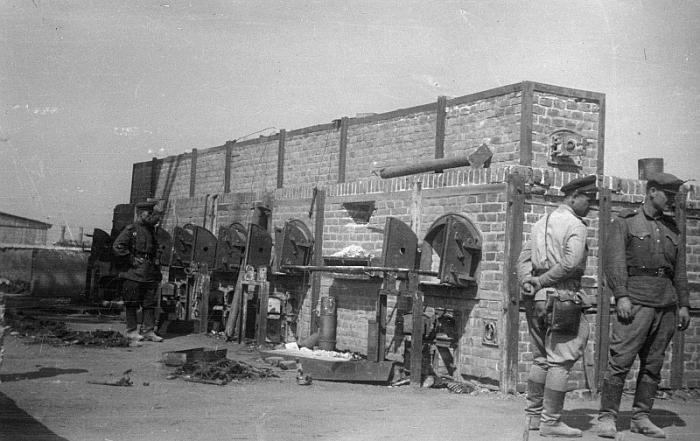 Das Konzentrationslager Majdanek. Faschistische Konzentrationslager