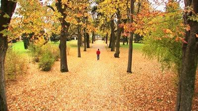 Analyse des Gedichtes "Herbst" Karamzin N. M.