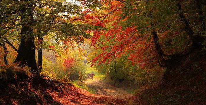 tvardovsky Wald im Herbst Zusammenfassung