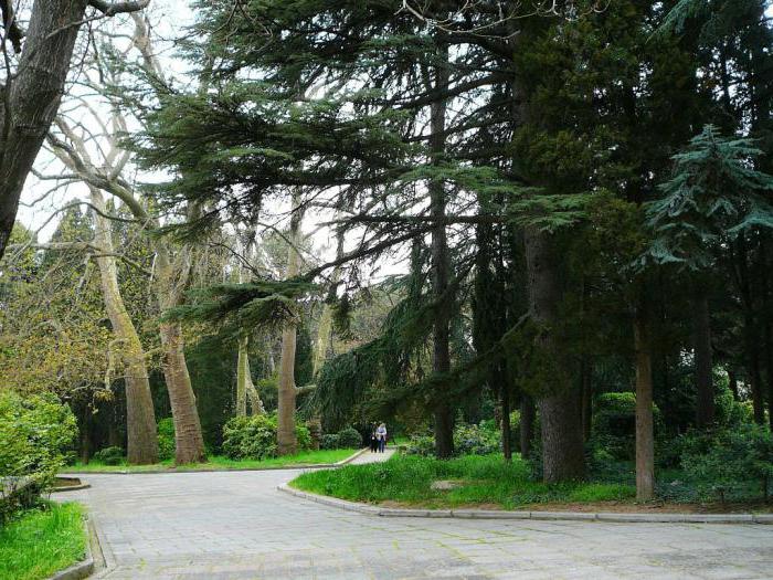 Gursuf Park - ein Denkmal der Landschaftskunst