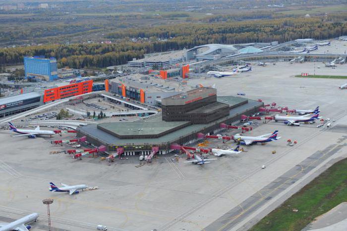 Studie des Sheremetyevo Flughafenplans - Hilfe für Passagiere