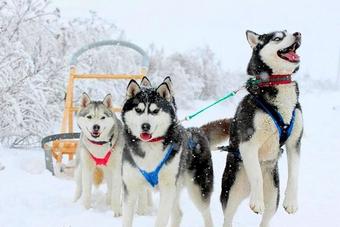 Winterruhe in Russland