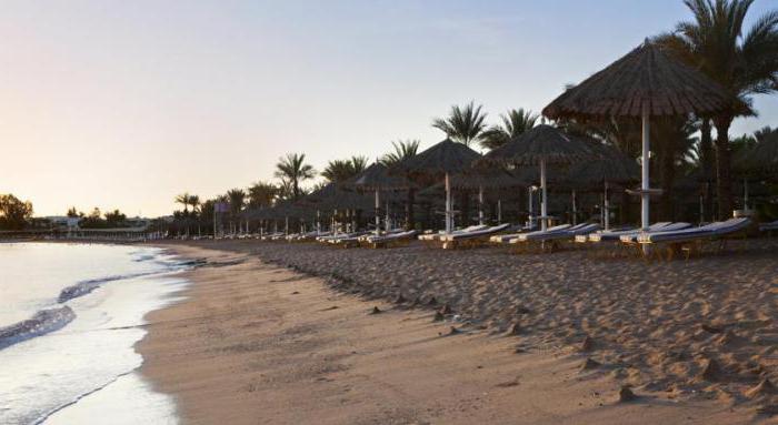 Hilton Sharm Dreams Resort 5 * (Ägypten / Scharm El-Scheich): Hotelkritiken