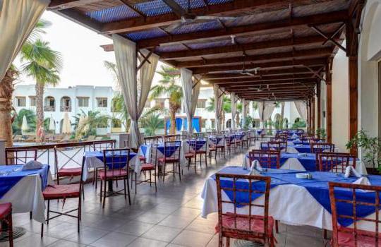 hotel otium hotel golden sharm 4