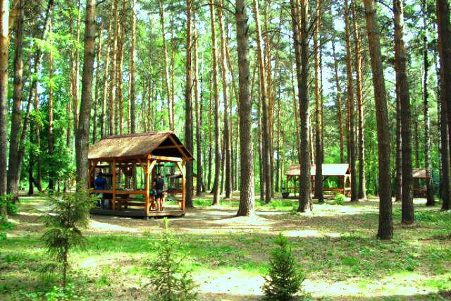 Sosnovy Bor Park Nowosibirsk