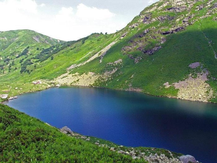 Pitsunda: Bewertungen von Ferien in einer entzückenden Region