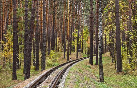 Besuchen Sie Nowosibirsk? Zaeltsovsky Park verdient besondere Aufmerksamkeit