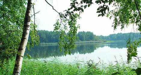 Senezhskoe Lake Urlaub