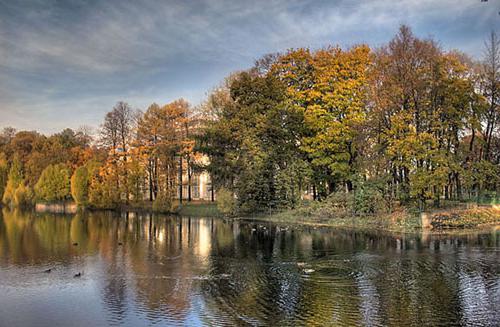 Tavrichesky Garten in St. Petersburg: Arbeitszeiten, Adresse, Fotos und Bewertungen von Touristen