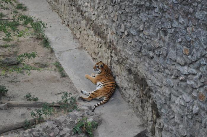 Zoo von Mykolaiv: Adresse, Tiere