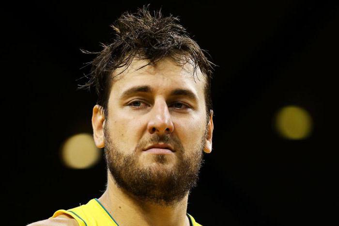 Andrew Bogut: Biographie, Karriere, Statistik