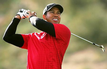 Tiger Woods Golf