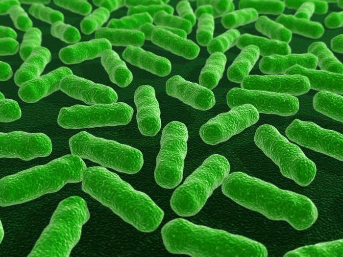 Eliminal (Gel): Gebrauchsanweisungen, Analoga, Bewertungen