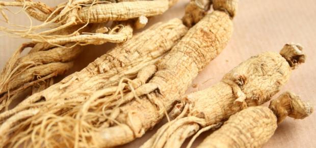 Tinktur aus Ginseng: für was und wann wird verwendet