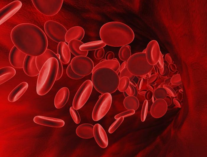 erhöhte Erythrozyten im Blut des Kindes 